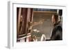 THE THREE MUSKETEERS (L-R) MILLA JOVOVICH and MATTHEW MACFADYEN star in THE THREE MUSKETEERS 3D. (p-null-Framed Photo