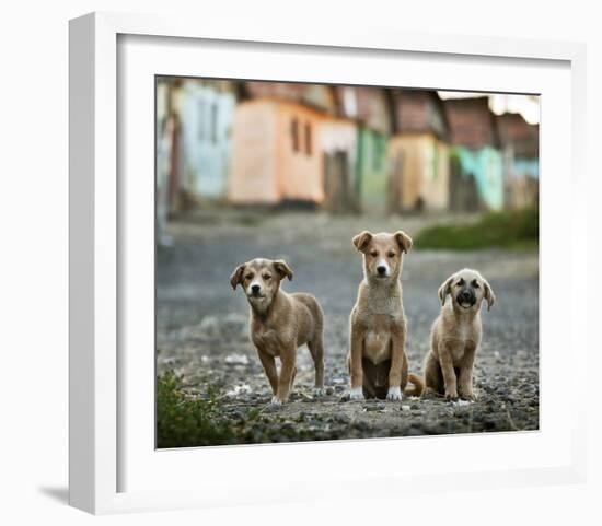 The Three Musketeers-Sorin Onisor-Framed Giclee Print