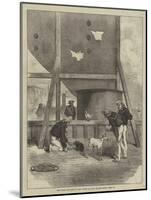 The Three Occupants of the Turret of HMS Glatton When Fired At-null-Mounted Giclee Print