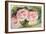 The Three Roses-Pierre-Auguste Renoir-Framed Giclee Print