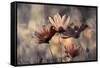 The three sisters-Fabien BRAVIN-Framed Stretched Canvas