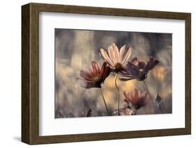 The three sisters-Fabien BRAVIN-Framed Photographic Print