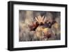 The three sisters-Fabien BRAVIN-Framed Photographic Print