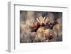 The three sisters-Fabien BRAVIN-Framed Photographic Print