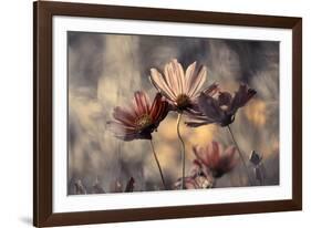 The three sisters-Fabien BRAVIN-Framed Photographic Print