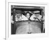 The Three Stooges: Speed Demons!-null-Framed Photo