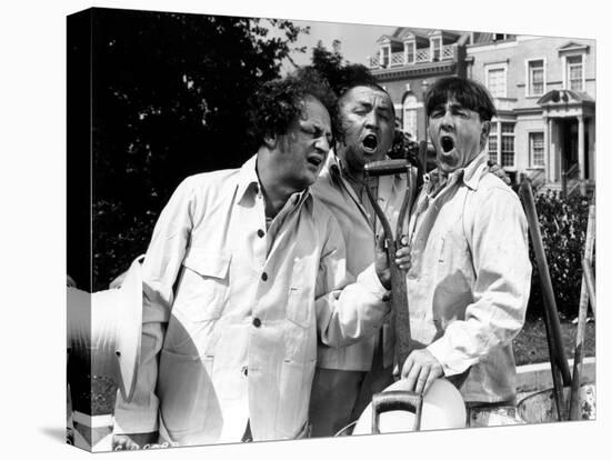 The Three Stooges: The Garden Shop Trio-null-Stretched Canvas