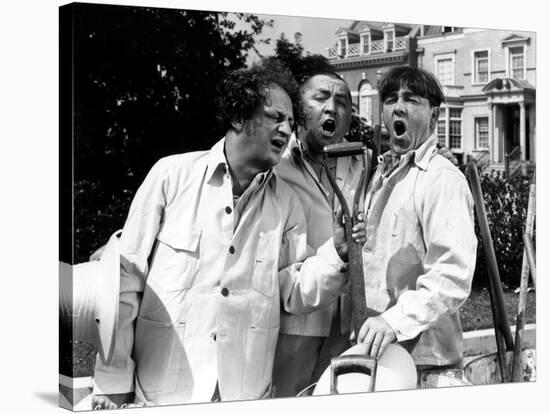The Three Stooges: The Garden Shop Trio-null-Stretched Canvas
