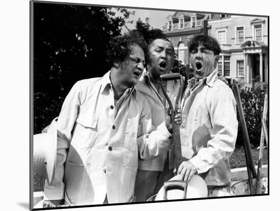 The Three Stooges: The Garden Shop Trio-null-Mounted Photo