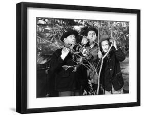 The Three Stooges: Three Tree Saps-null-Framed Photo