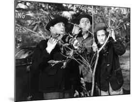 The Three Stooges: Three Tree Saps-null-Mounted Photo