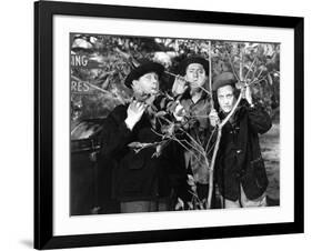 The Three Stooges: Three Tree Saps-null-Framed Photo