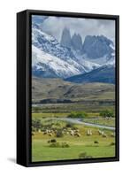 The Three Towers, Torres Del Paine National Park, Chilean Patagonia, Chile-G & M Therin-Weise-Framed Stretched Canvas