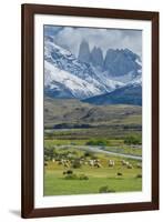 The Three Towers, Torres Del Paine National Park, Chilean Patagonia, Chile-G & M Therin-Weise-Framed Photographic Print