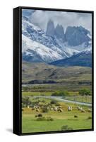 The Three Towers, Torres Del Paine National Park, Chilean Patagonia, Chile-G & M Therin-Weise-Framed Stretched Canvas