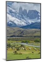 The Three Towers, Torres Del Paine National Park, Chilean Patagonia, Chile-G & M Therin-Weise-Mounted Photographic Print