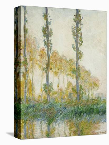 The Three Trees, Autumn, 1891-Claude Monet-Stretched Canvas