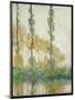 The Three Trees, Autumn, 1891-Claude Monet-Mounted Giclee Print