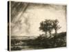 the Three Trees-Rembrandt van Rijn-Stretched Canvas