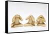 The Three Wise Monkeys-Japanese School-Framed Stretched Canvas