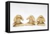 The Three Wise Monkeys-Japanese School-Framed Stretched Canvas