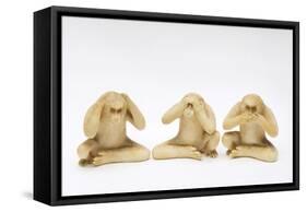 The Three Wise Monkeys-Japanese School-Framed Stretched Canvas