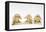 The Three Wise Monkeys-Japanese School-Framed Stretched Canvas