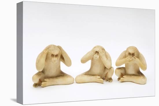 The Three Wise Monkeys-Japanese School-Stretched Canvas