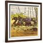 The Three Youthful Mariners-Ernest Henry Griset-Framed Giclee Print