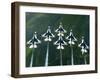 The Thunderbird Aerial Demonstration Team Performs a Loop While in the Delta Formation-Stocktrek Images-Framed Photographic Print