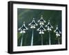 The Thunderbird Aerial Demonstration Team Performs a Loop While in the Delta Formation-Stocktrek Images-Framed Photographic Print