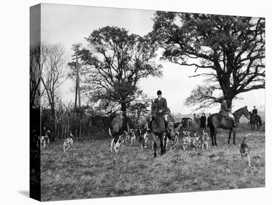 The Tickham Foxhounds-null-Stretched Canvas