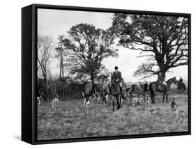 The Tickham Foxhounds-null-Framed Stretched Canvas