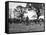 The Tickham Foxhounds-null-Framed Stretched Canvas