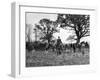 The Tickham Foxhounds-null-Framed Photographic Print