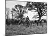 The Tickham Foxhounds-null-Mounted Photographic Print