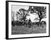 The Tickham Foxhounds-null-Framed Photographic Print