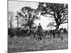 The Tickham Foxhounds-null-Mounted Photographic Print