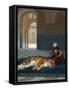 The Tiger and the Guardian (oil on canvas)-Jean Leon Gerome-Framed Stretched Canvas