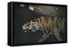 'The Tiger', c1900-John Dickson Batten-Framed Stretched Canvas