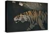 'The Tiger', c1900-John Dickson Batten-Stretched Canvas