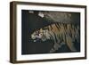 'The Tiger', c1900-John Dickson Batten-Framed Giclee Print