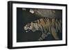 'The Tiger', c1900-John Dickson Batten-Framed Giclee Print