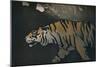 'The Tiger', c1900-John Dickson Batten-Mounted Giclee Print