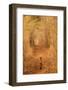 The Tiger in the Tunnel-AB Apana-Framed Photographic Print