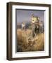 The Tiger Shoot-William Woodhouse-Framed Giclee Print