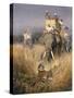 The Tiger Shoot-William Woodhouse-Stretched Canvas