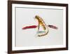 The Tiger-Vick Vibha-Framed Collectable Print