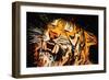 The Tiger-Rabi Khan-Framed Premium Giclee Print