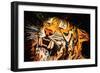 The Tiger-Rabi Khan-Framed Premium Giclee Print